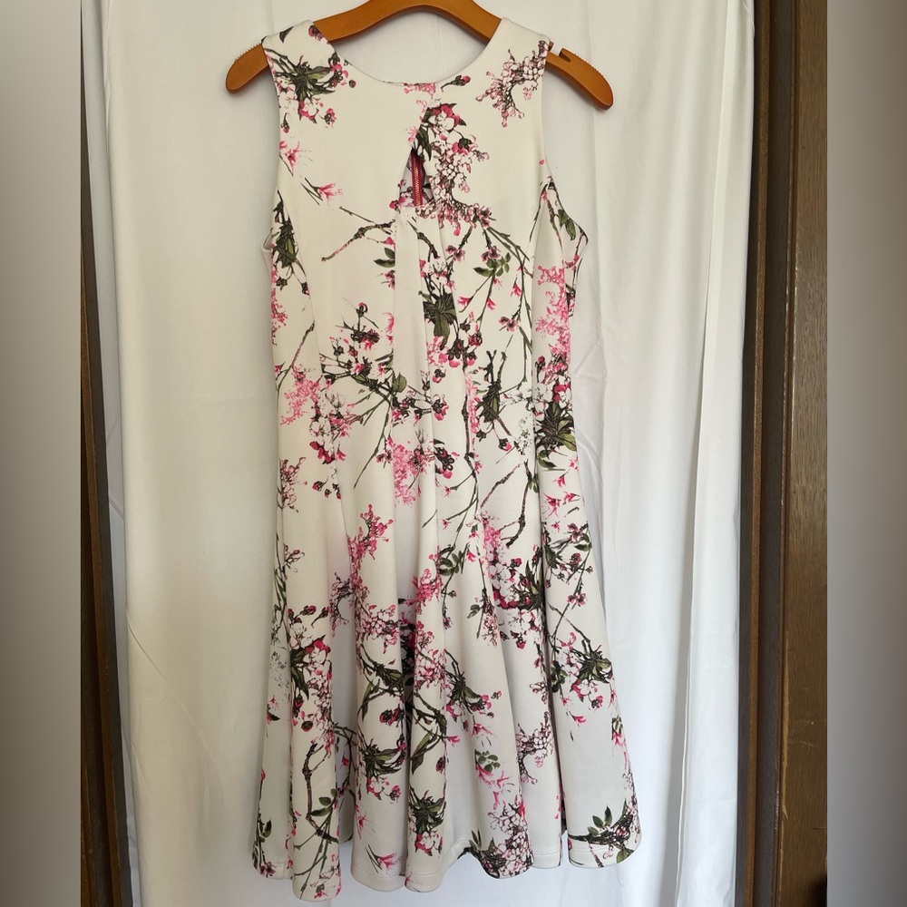 Cynthia Steffe Floral Sleeveless Fit & Flare Dress - Size 8